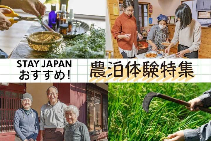 農泊特集